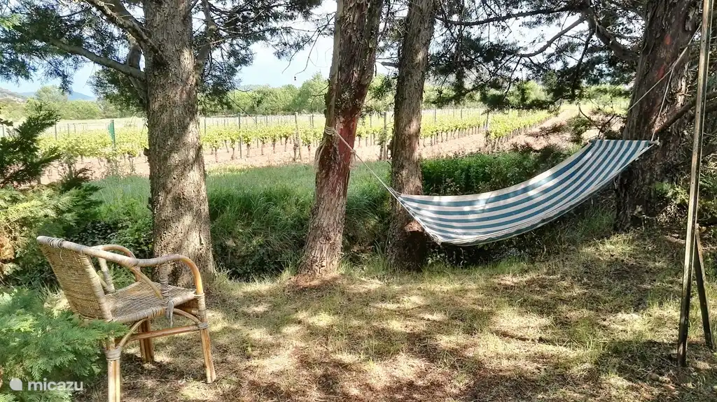For some guests this is a magical spot with a view over the vineyards and our small river, which is the boundary. Lovely unobstructed view over the vineyards and mountains next to us.
