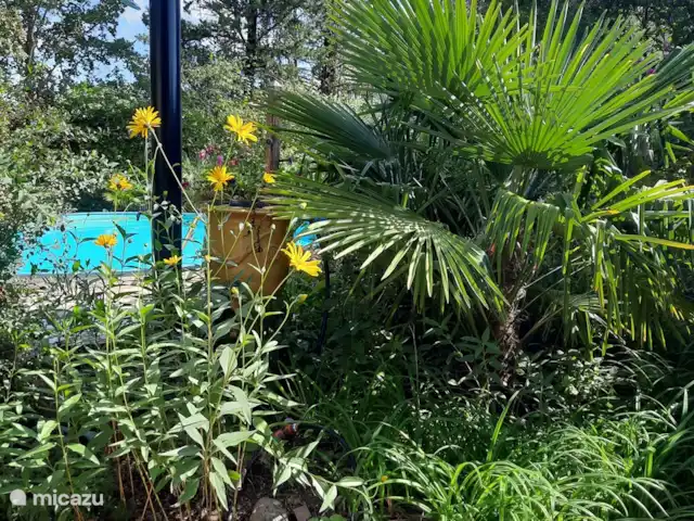 Les Dix Étoiles ¡Zona muy tranquila! en Francia, Hérault, La Tour-sur-Orb - villa Hay una ducha solar en la piscina. Buena ducha caliente.