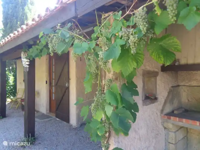 Les Dix Étoiles ¡Zona muy tranquila! en Francia, Hérault, La Tour-sur-Orb - villa Se permite comer de las uvas, al igual que de los higos, moras y kakis. Entrada de la casa de huéspedes a la izquierda.