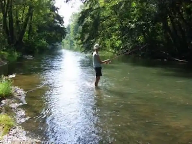 Les Dix Étoiles ¡Zona muy tranquila! en Francia, Hérault, La Tour-sur-Orb - villa En frente de la casa se puede pescar en el Orbe.
Obtenga un permiso de la municipalidad primero.
El río que fluye aquí es muy rico en peces. También puedes nadar en el río y muchos niños construyen presas aquí en el verano o bajan el río con un bote inflable.
