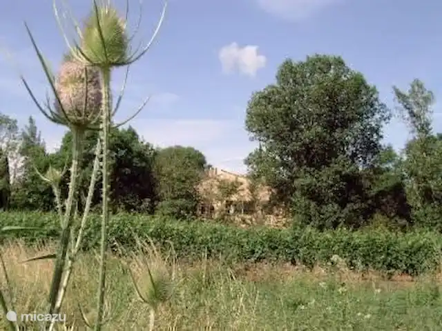Les Dix Étoiles ¡Zona muy tranquila! en Francia, Hérault, La Tour-sur-Orb - villa Bellamente situado en el borde de La Pleine. Rutas de senderismo recorren el campo ya lo largo del río al lado de nuestra casa.
Puedes comprar vino en una bodega de Caunas a pie o en bicicleta.