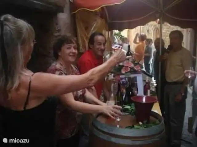 Les Dix Étoiles ¡Zona muy tranquila! en Francia, Hérault, La Tour-sur-Orb - villa Degustación de vinos en Faugères, un festival anual. Además, cada pueblo del vino tiene sus propias fiestas y catas de vino. En toda la región se puede y se puede realizar catas de vino gratuitas. El vino proviene de Haute Vallée d'Orb.
