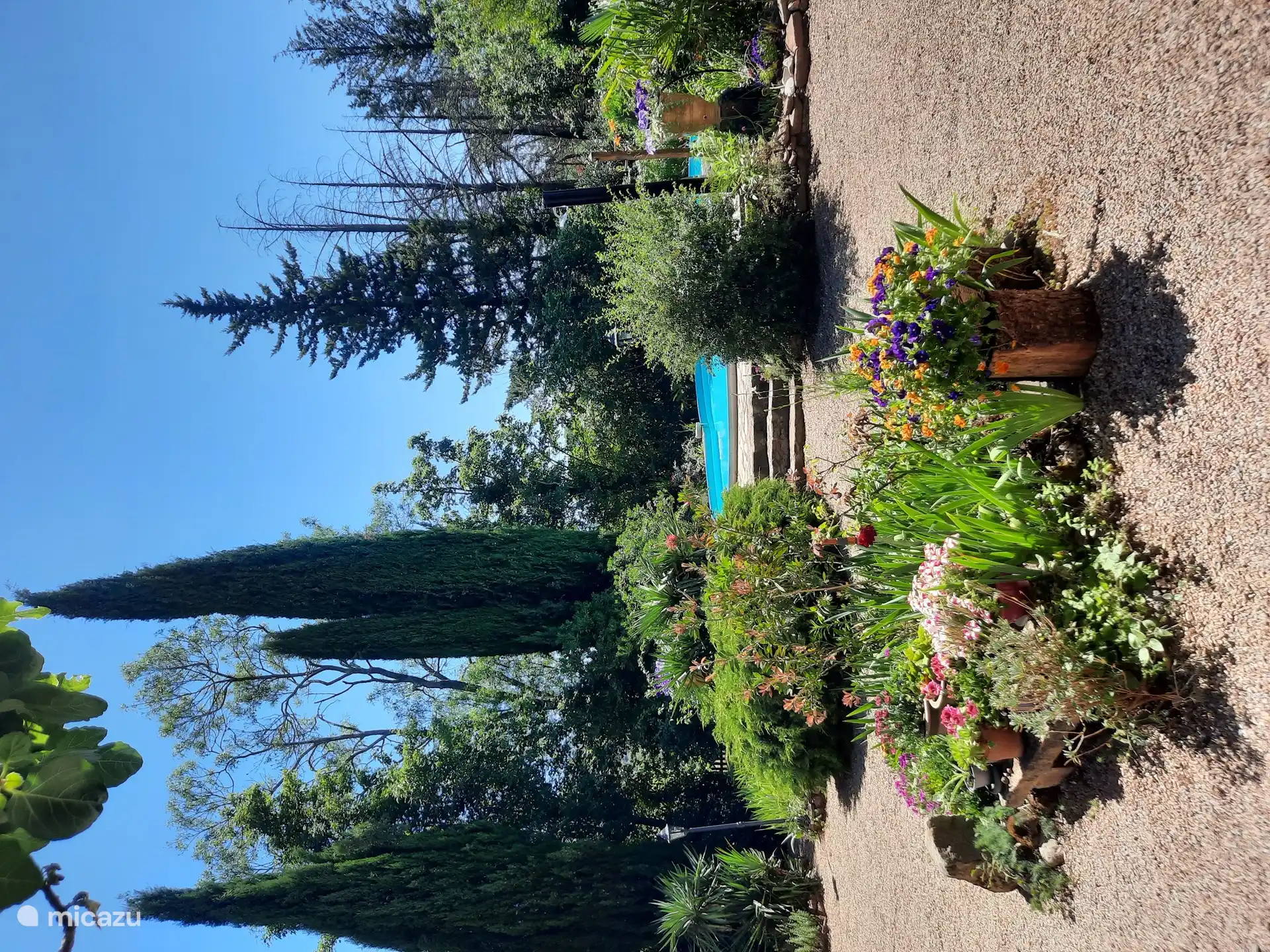 Many flowering plants give coziness. Garden filled with many subtropical plants.