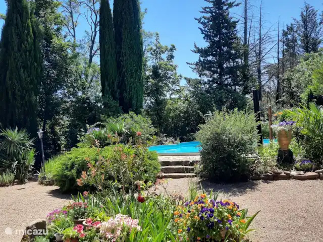 Les Dix Étoiles ¡Zona muy tranquila! en Francia, Hérault, La Tour-sur-Orb - villa Muchas plantas con flores dan comodidad. Jardín lleno de muchas plantas subtropicales.