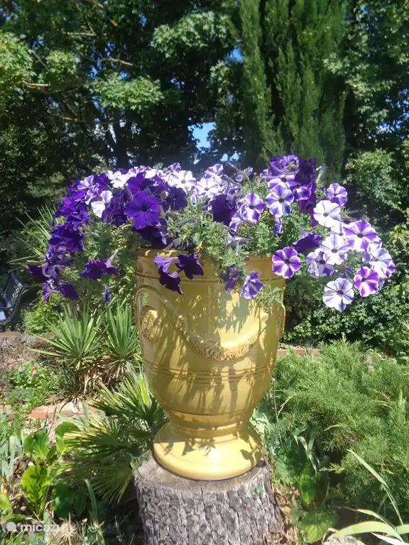 Vases d'Anduze filled with flowers around the pool. Often thanks to our green-fingered guests and our irrigation system beautiful all season long.
