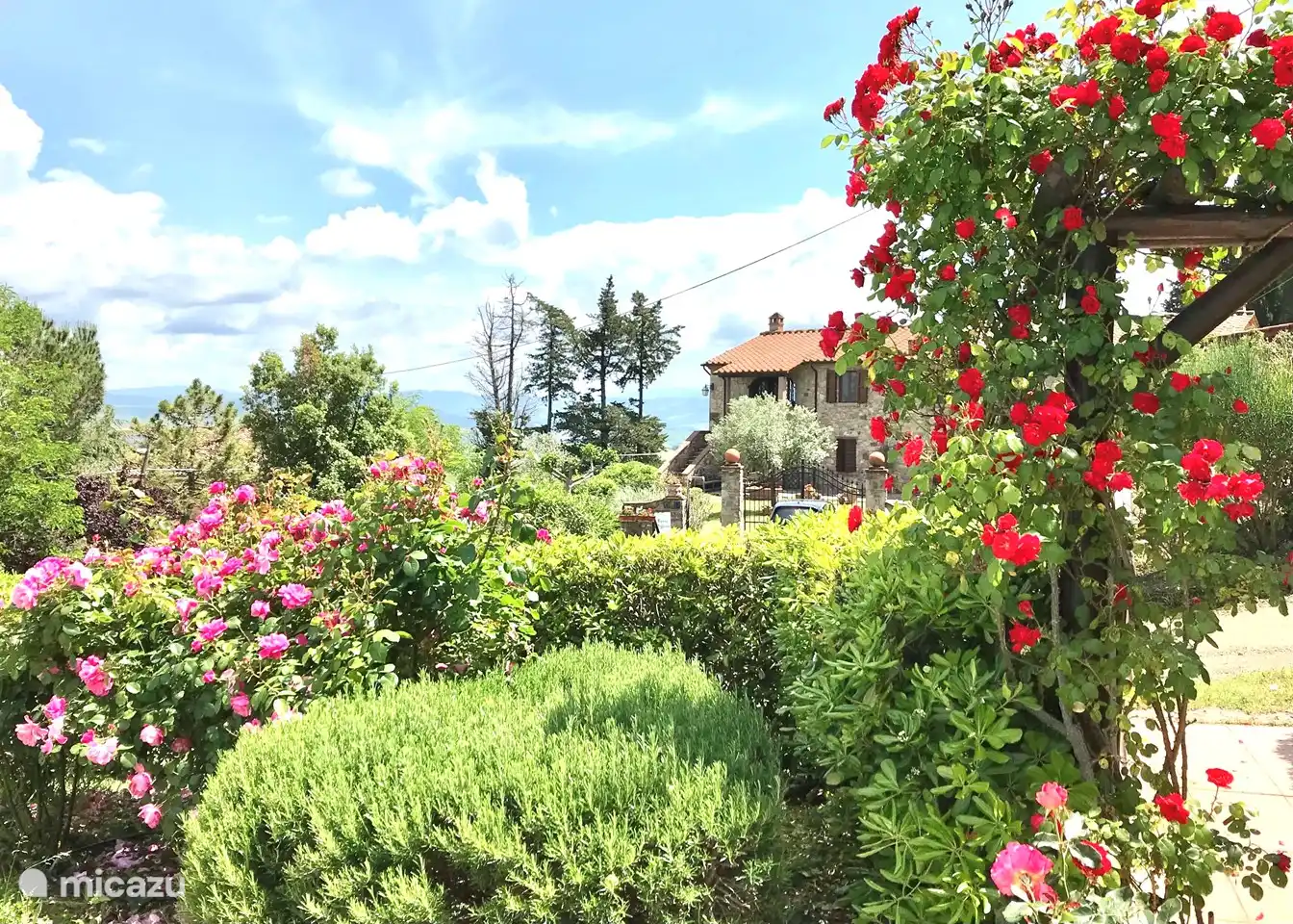 Impression de jardin