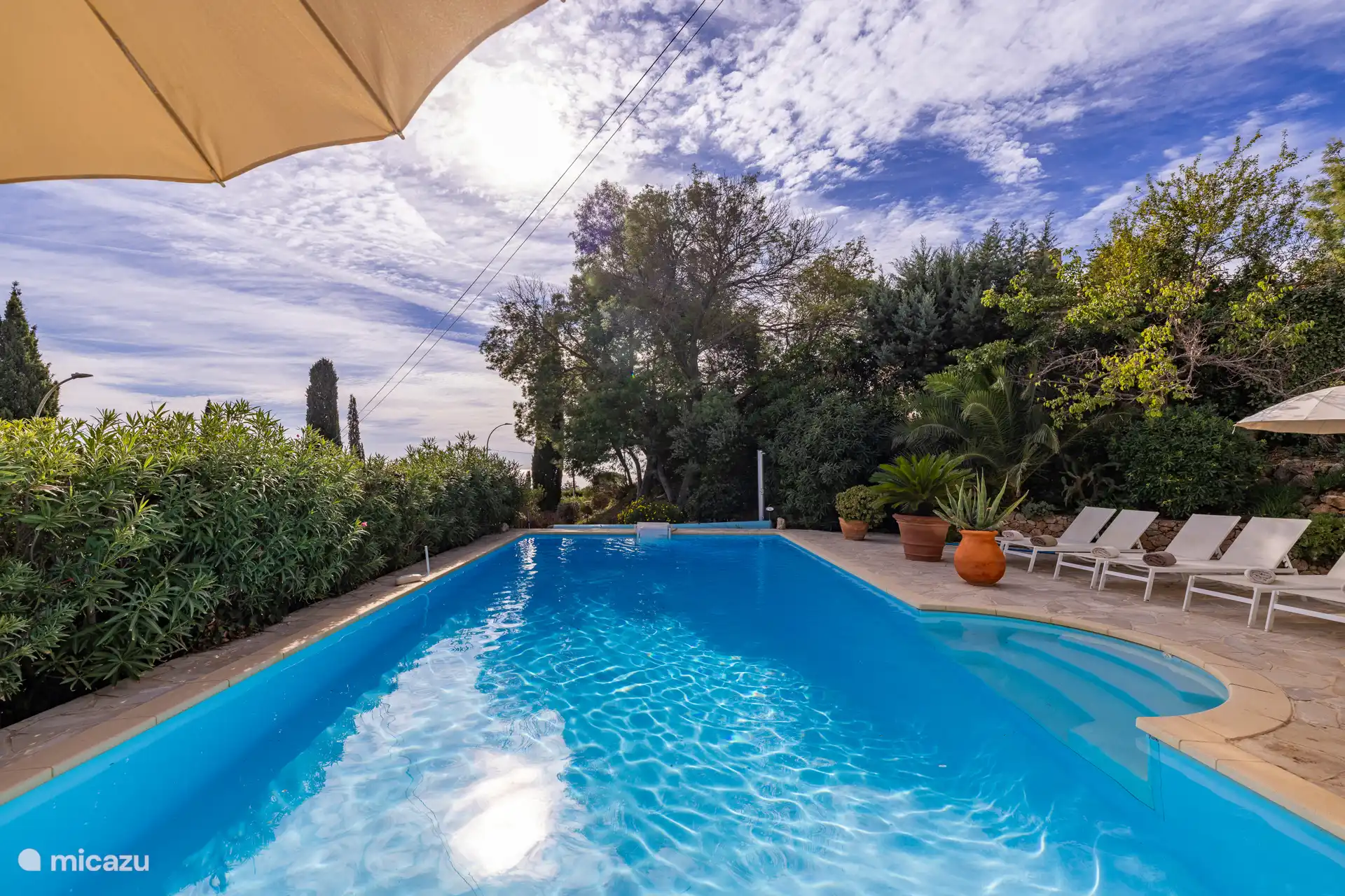 La piscina rodeada de adelfas