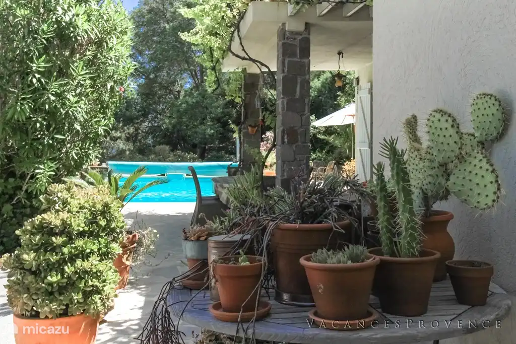 Vue jusqu'à la piscine