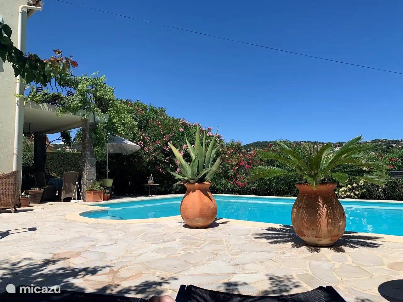 Vue sur la vallée verdoyante et les lauriers roses en fleurs