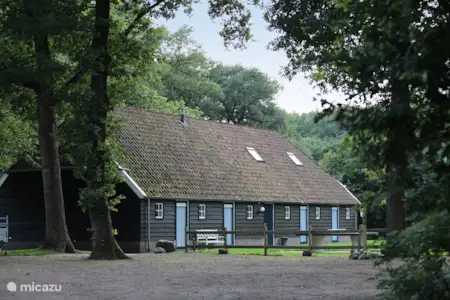 Vakantiehuis Nederland, Drenthe, Orvelte boerderij Borckerhof 3 Vakantiehuis Nederland, Drenthe, Orvelte boerderij Borckerhof 3