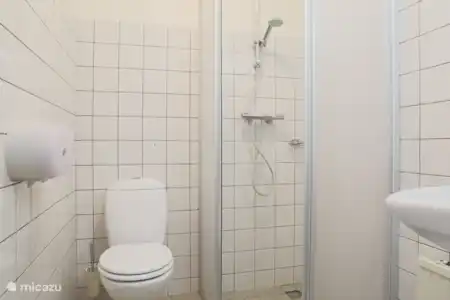 Vakantiehuis Nederland, Drenthe, Orvelte boerderij Borckerhof 3 Badkamer