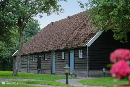 Vakantiehuis Nederland, Drenthe, Orvelte boerderij Borckerhof 3 Borckerhof 3