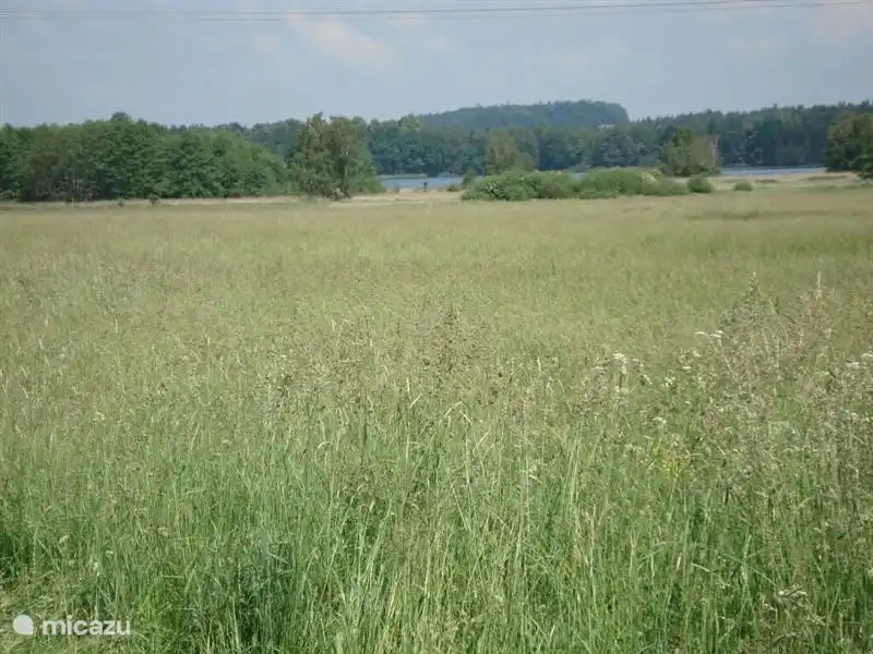 del jardín con lago de fondo