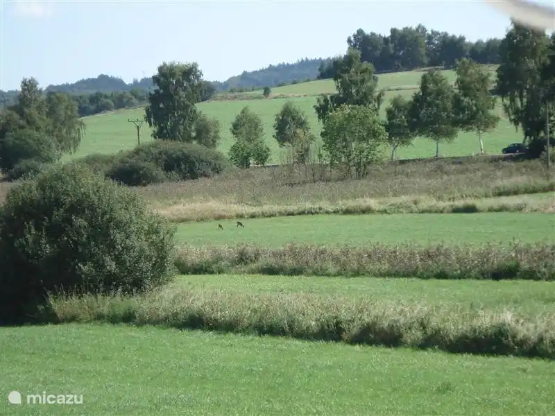 vista desde la cocina