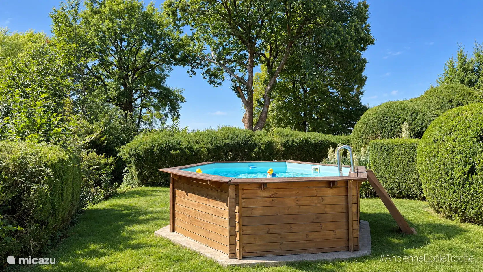 Swimming pool with wooden casing and stairs, surrounded by greenery.