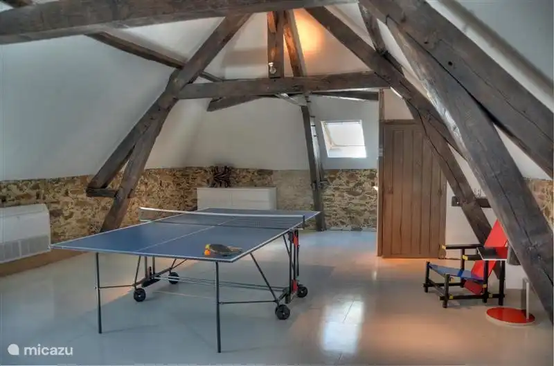 Tischtennis in der Living Lounge für spannende Wettkämpfe mit Freunden und Familie.