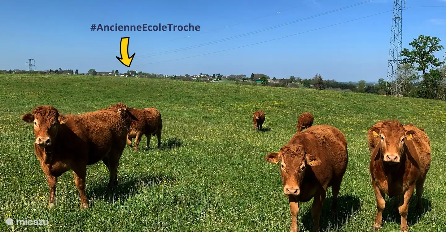 Wo immer Sie in der Nähe gehen. Sie sehen die Ancienne Ecole über allem.