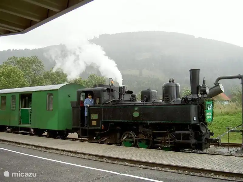 Lentamente, el tren de vapor retumba a través del paisaje montañoso.
