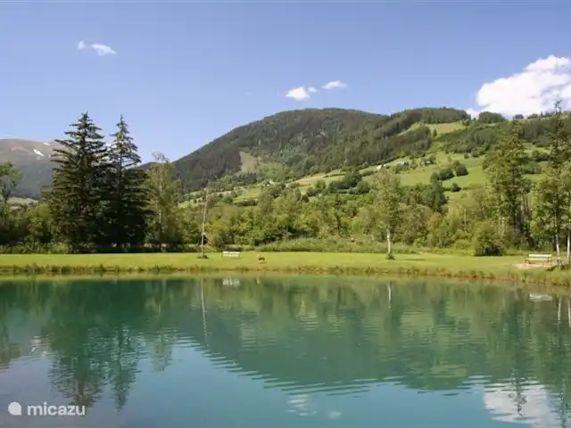 Chalet alpin | Autriche, Styrie, Stadl an der Mur - chalet Montagnes, forêts, prairies et eau. Le cœur vert de l'Autriche.