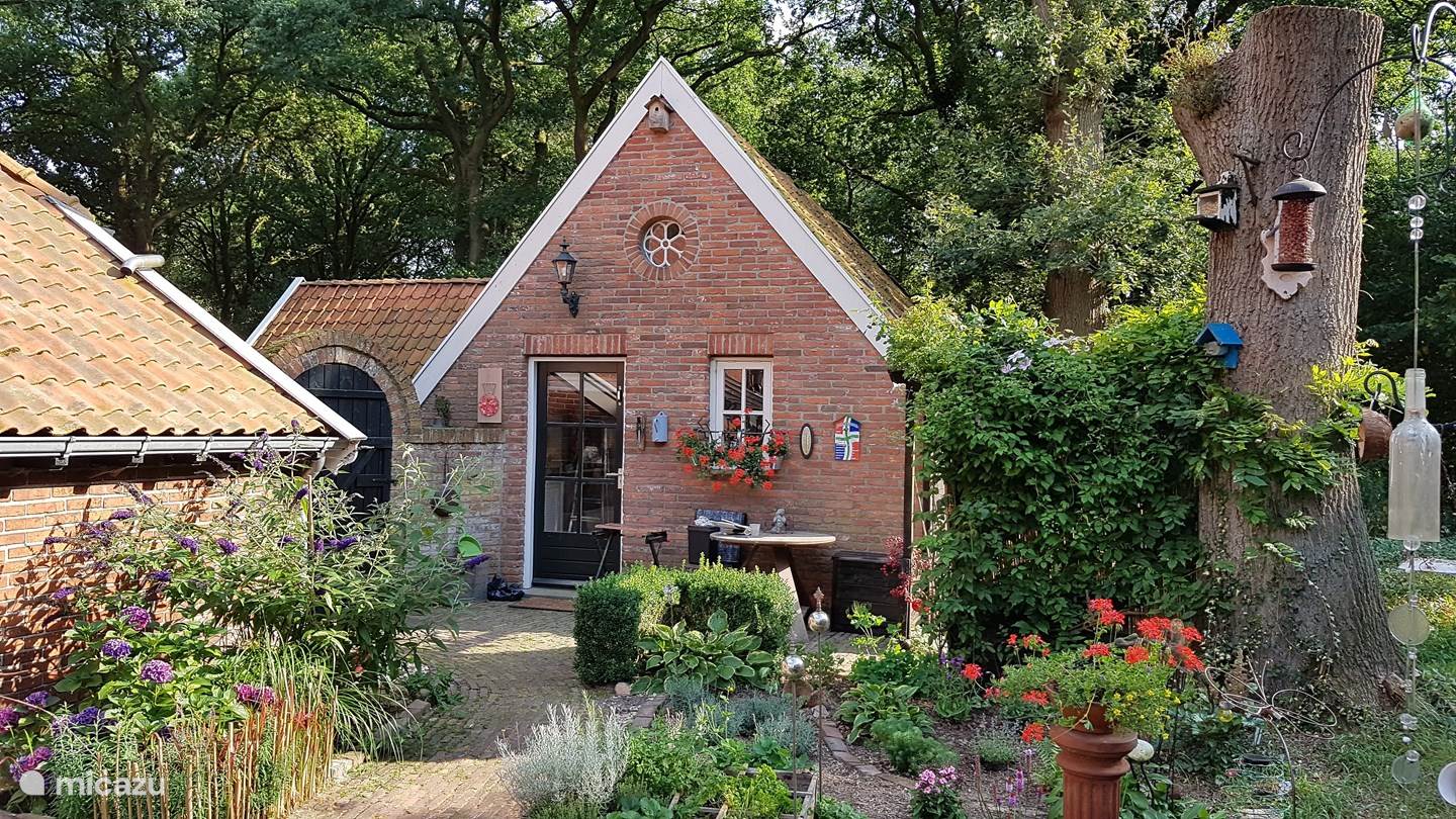 De Stee, Vakantiehuisje En B&B In Groningen Boek Je Voordelig Bij ...