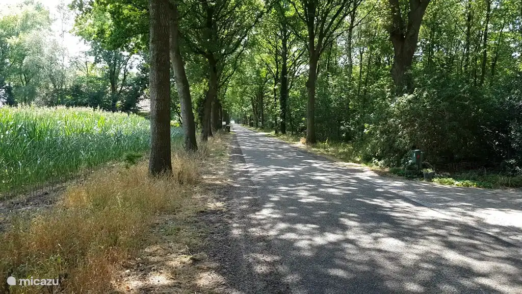 Zuidveldweg