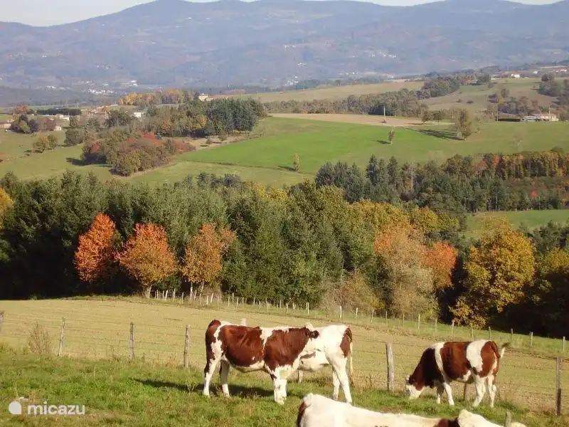 Vue vers SE en automne