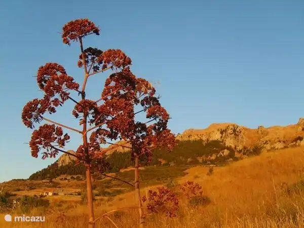 Atmosphäre in Madoniegebergte.