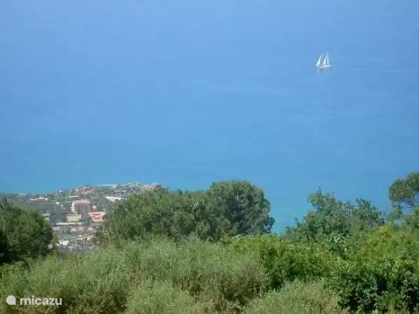 Blick von der Terrasse