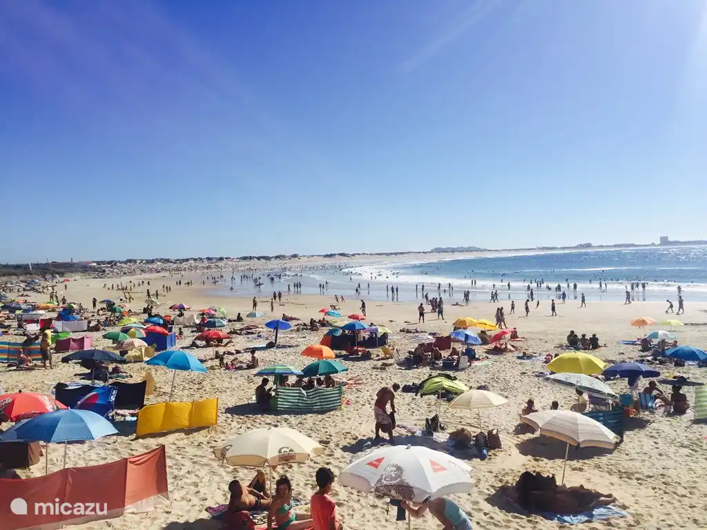 Praia do Baleal (Sul), een van de meest populaire familiestranden in de buurt, op 15 autominuten.