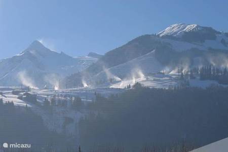 Informatie skigebieden: Maiskogel