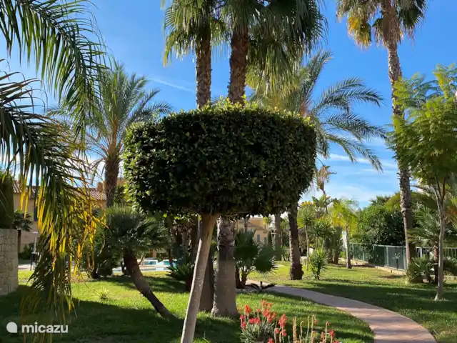 Casa Soleada | Espagne, Costa Blanca, Finestrat - maison de vacances Les jardins spacieux sont magnifiquement aménagés, sont très bien entretenus et sont magnifiquement verts avec de nombreux types de (palmiers).