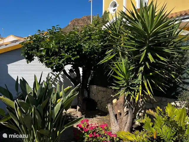 Villa Classique de Luxe | Espagne, Costa Cálida, Mazarrón - villa