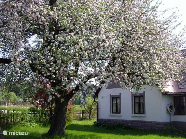 Holiday home in Czech Republic, Giant Mountains, Mostek-Souvrat - holiday house Roubenka
