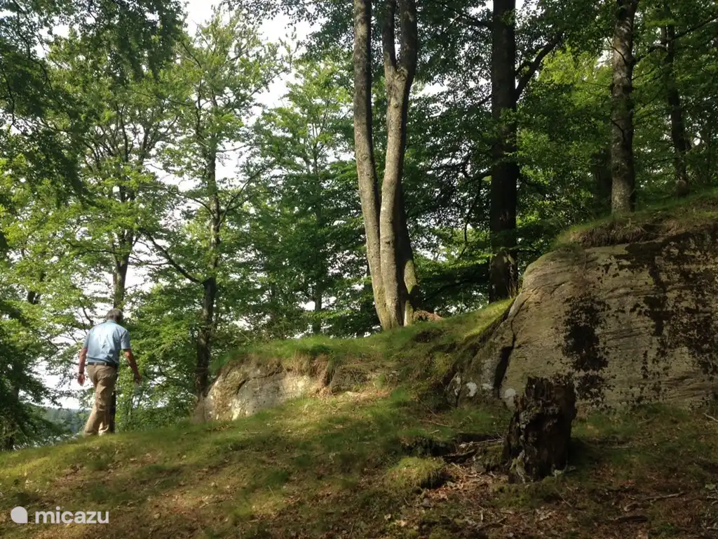 Gustaf Borg Naturgebiet