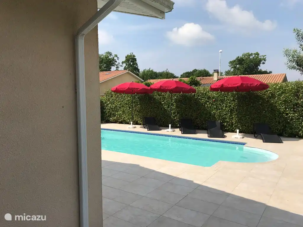 Overzicht terras, met nieuwe parasols en ligbedden