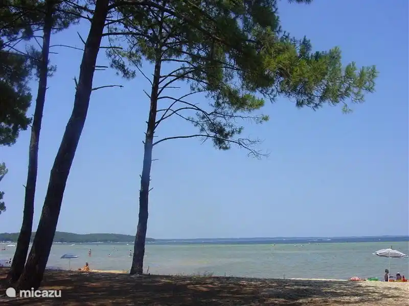 Een van de grote meren,lac de sanguinet, met ook mooie schone witte zandstranden en oevers die de eerste meters ondiep zijn, waardoor het heerlijk toeven is, ook voor de allerkleinste kinderen.
