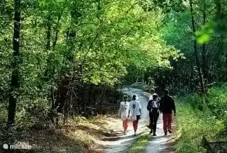 volop wandel -en fietsmogelijkheden; verschillende parkoersen aangelegd door het bosrijke gebied, langs de meren tot aan de Atlantische Oceaan