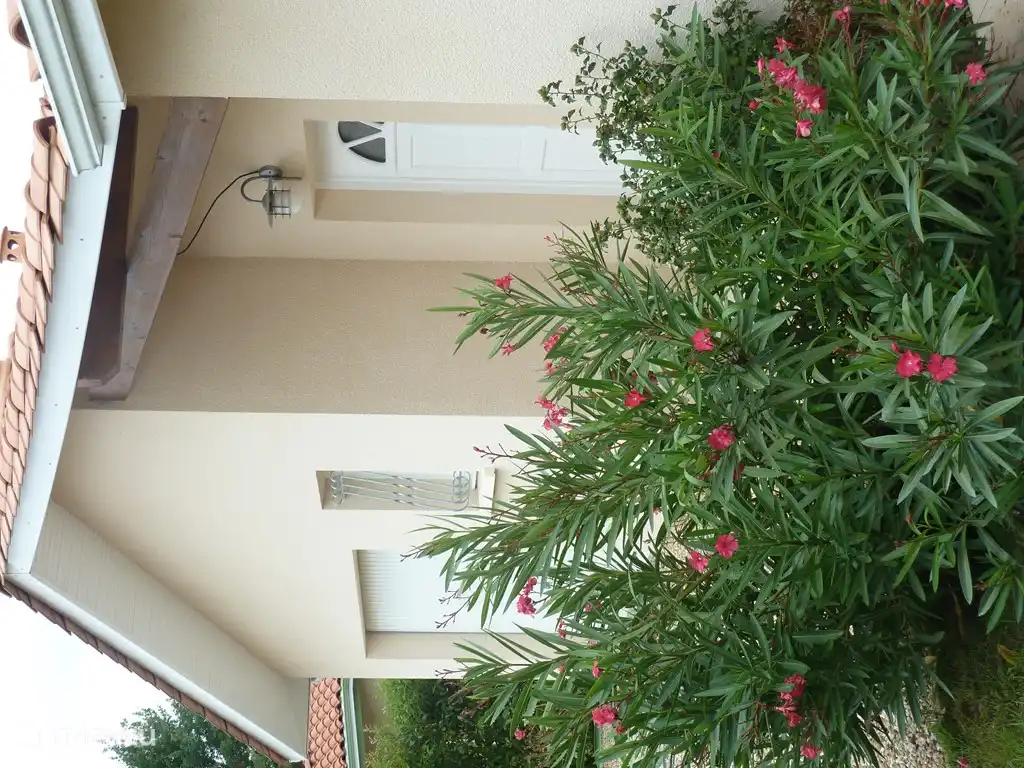 voorzijde huis met terras, met name heerlijk in het voorjaar en najaar, met de middagzon. Om eerlijk te zijn in de zomer op middagen te warm.