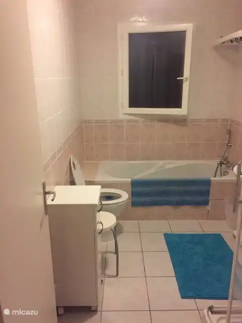 Badkamer, met ligbad, 2e toilet, wastafel en douche