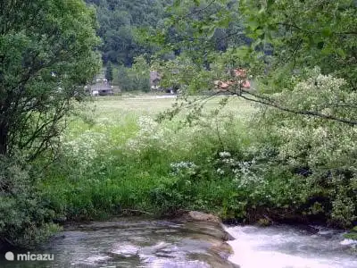 This is the Katschbach that close to the bungalows runs