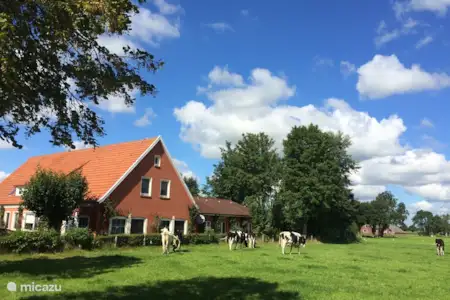 huren ostfriesland hobbyhuren in leipzig