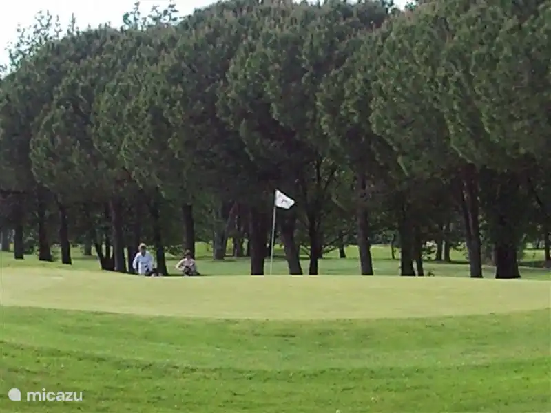 Voor een 18 holes golfbaan is eigenlijk een handicap vereist(wij hebben er gewooon met gvb op mogen golfen).De andere 18 holes golfbaan kan met gvb betreden worden.