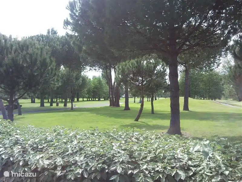 Golfbanen