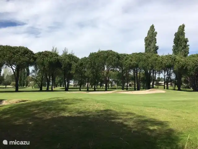Prachtige golf banen