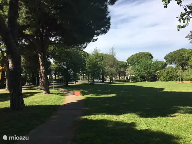 Wandelen of picknicken in park