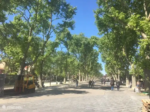 Montpellier centrum wandel esplanade naar park bij museum Fabre
