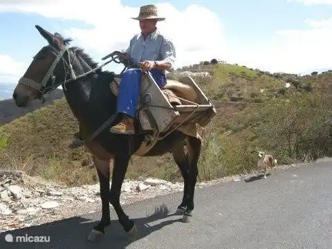Buurtbewoners Villa Lasata .....