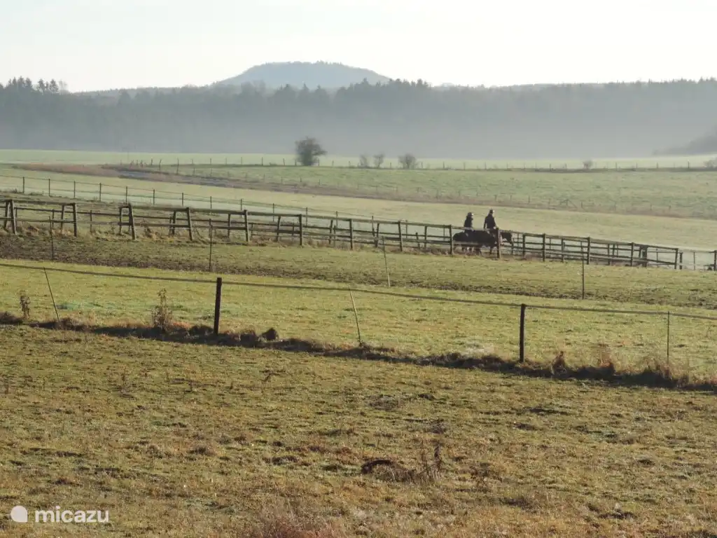 Riding school in Lindweiler, 20 minutes away.