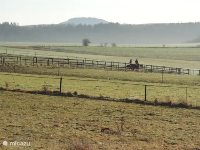 zum hirsch en Alemania, Eifel, Uedelhoven - chalet Establos de equitación en Lindweiler, a 20 minutos.