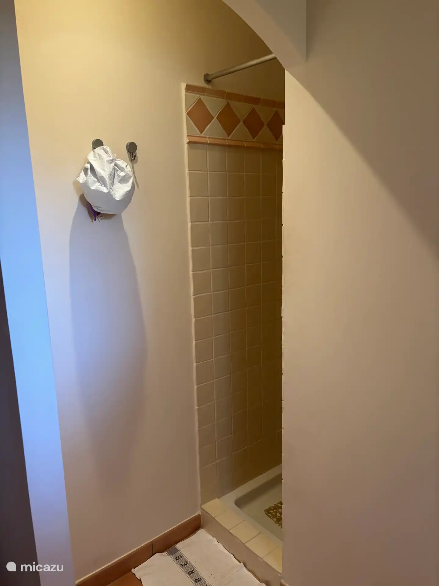Entrée de la douche dans la salle de bain 